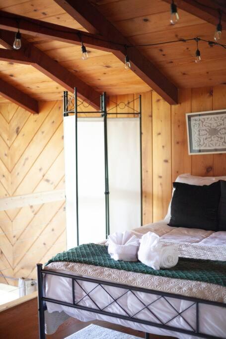 רובינסוויל Family Cabin Near Smoky Mtn Entrance Nantahala מראה חיצוני תמונה