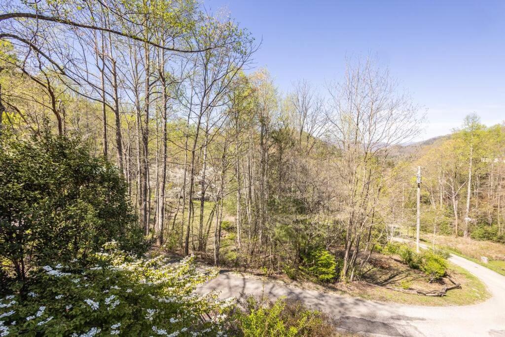 רובינסוויל Family Cabin Near Smoky Mtn Entrance Nantahala מראה חיצוני תמונה